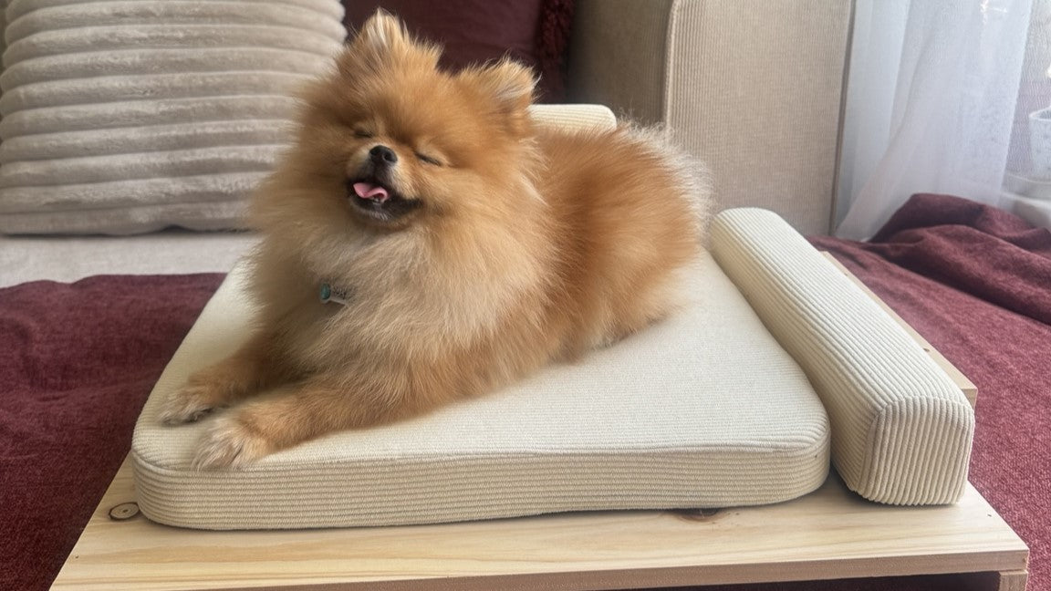 Luxury Dog Sofa – Small